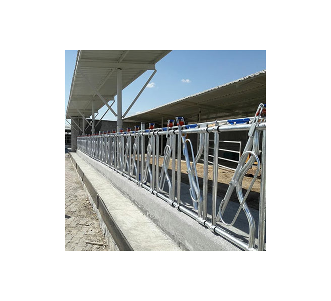 Hayvan Kilitleme Sistemleri