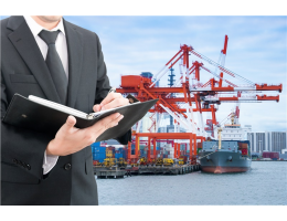 Gümrük Danışmanlık